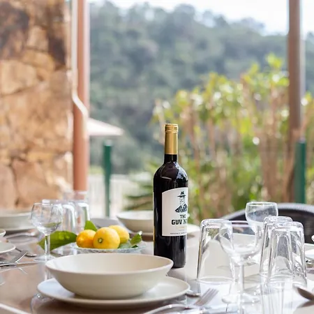 Casa Pollino In Villa Lloret de Mar